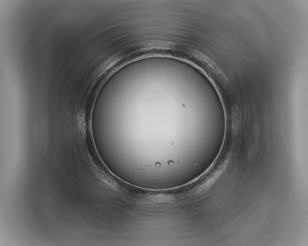 X0000112981113200908271137