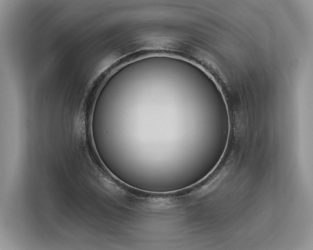 X0000112981114200908271137