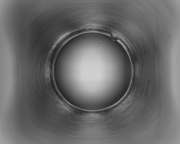 X0000112981115200908271137