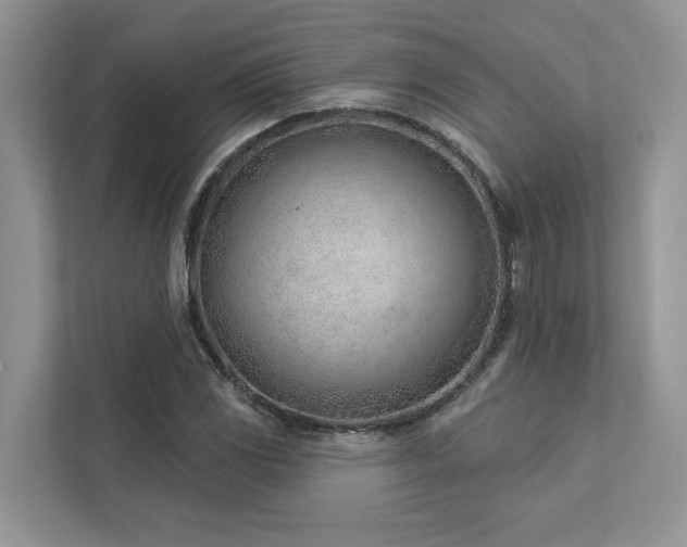 X0000112981117200908271137