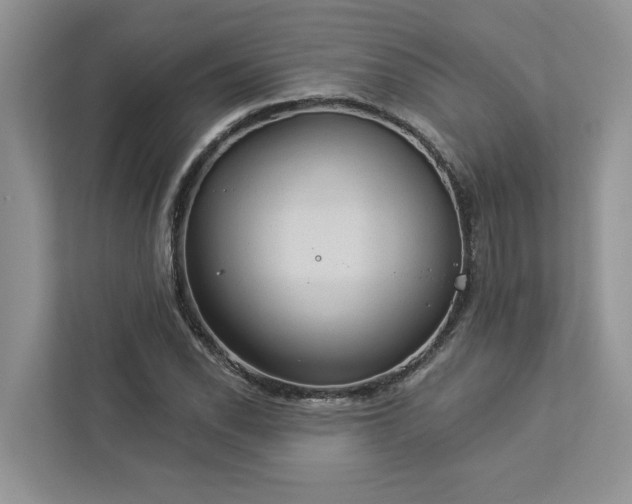 X0000112981118200908271138