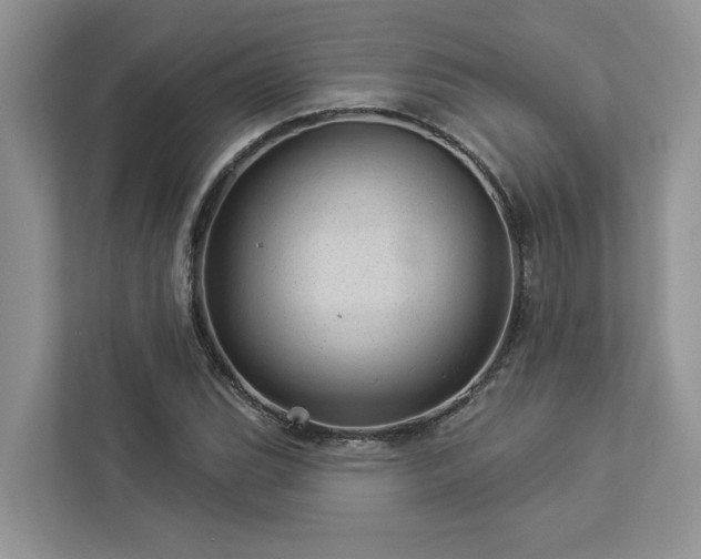 X0000112981119200908271138