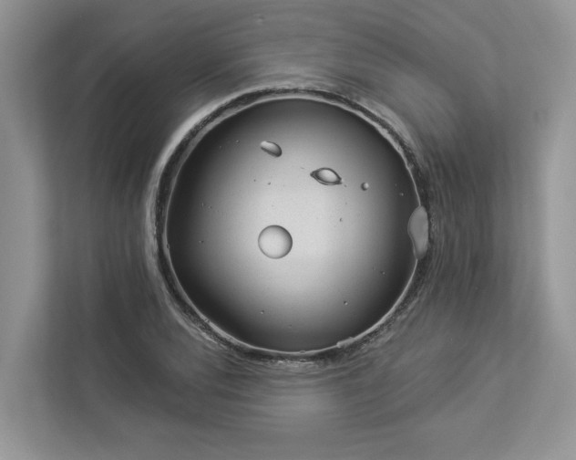 X0000112981120200908271138
