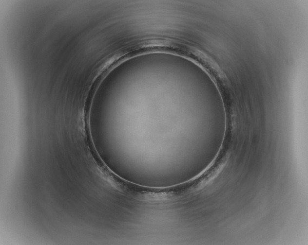 X0000112981121200908271138