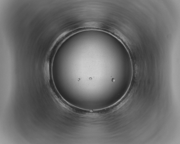 X0000112981123200908271138