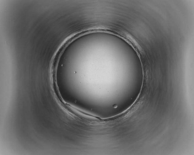 X0000112981124200908271138