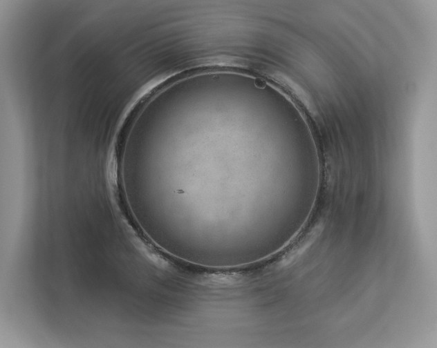 X0000112981125200908271138