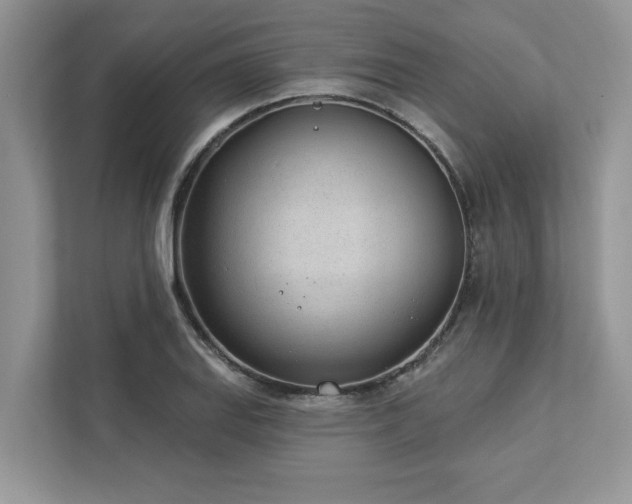 X0000112981127200908271138