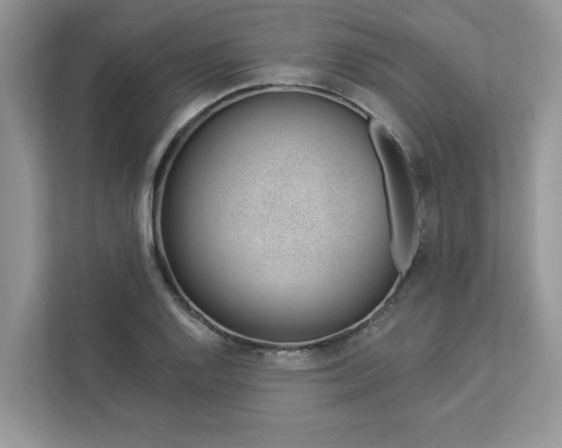 X0000112981128200908271138