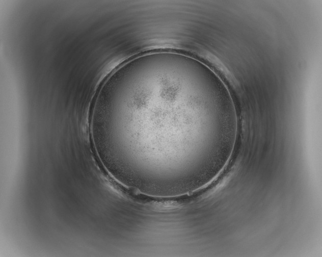 X0000112981129200908271138