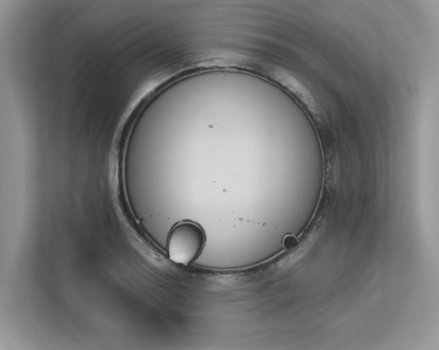 X0000112981130200908271138