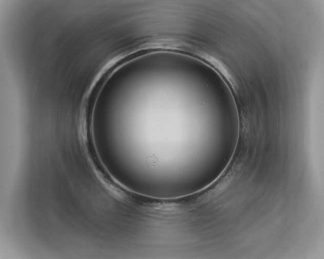 X0000112981131200908271138