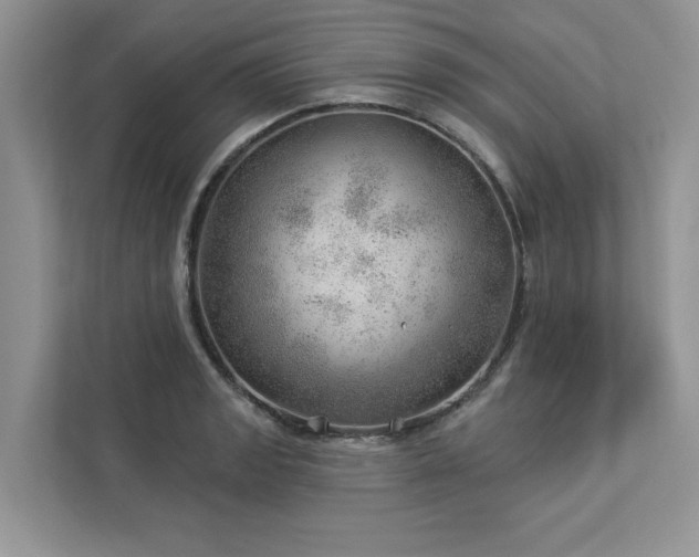 X0000112981133200908271138