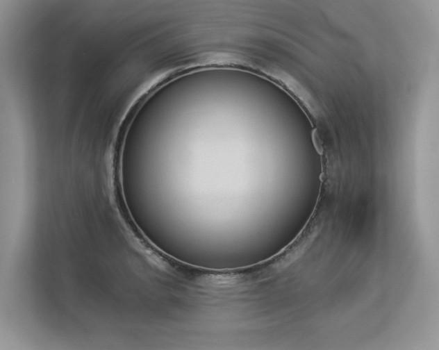 X0000112981134200908271138