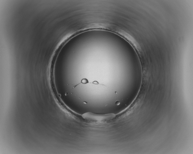 X0000112981135200908271138