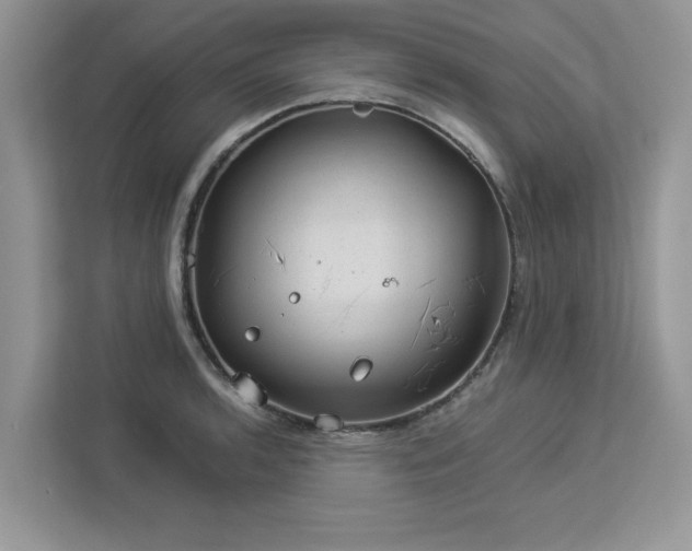 X0000112981136200908271138