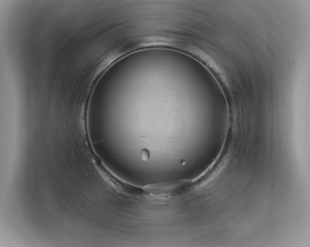 X0000112981137200908271138