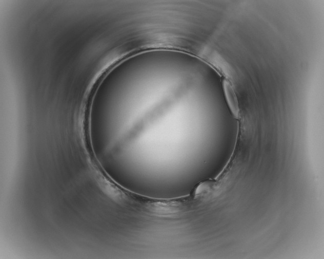 X0000112981138200908271138