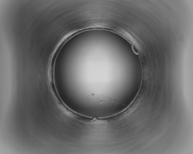 X0000112981140200908271138