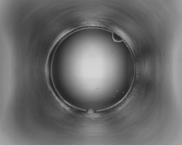 X0000112981141200908271138