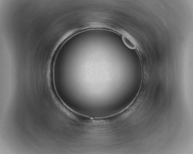 X0000112981142200908271138