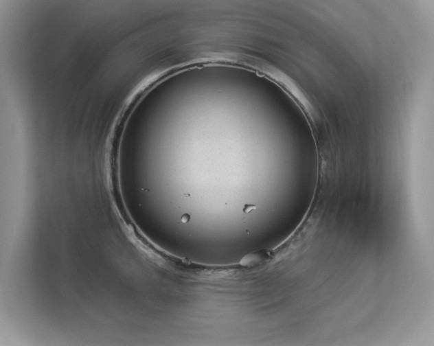 X0000112981143200908271138