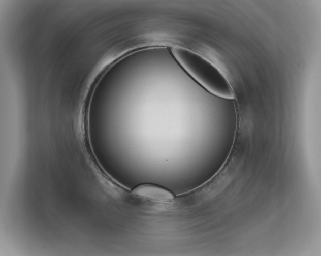 X0000112981144200908271138