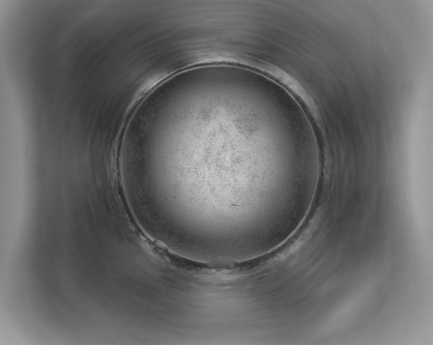 X0000112981145200908271138