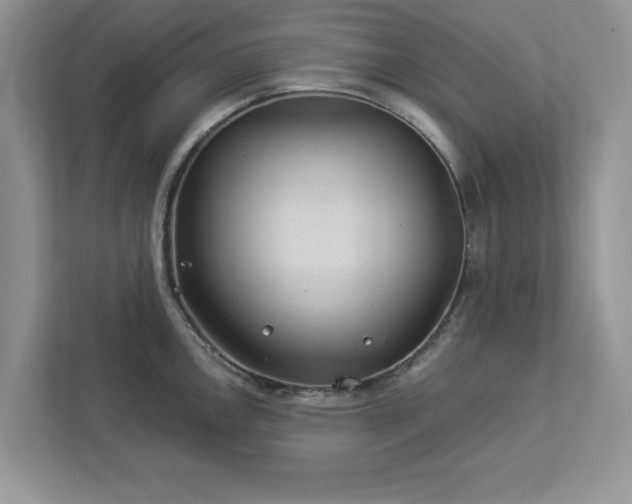 X0000112981146200908271138