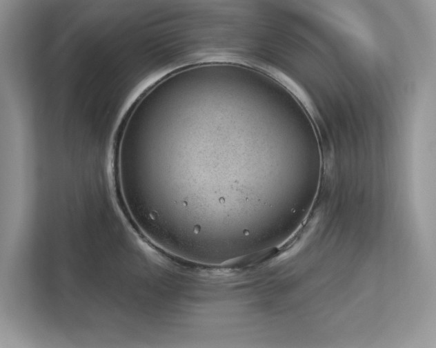X0000112981149200908271138