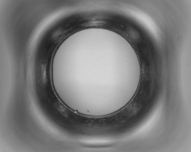 X0000112981150200908271138