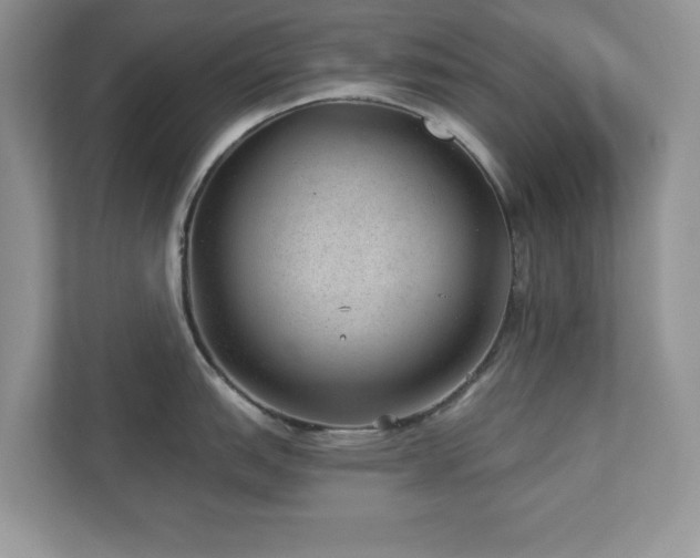 X0000112981151200908271138