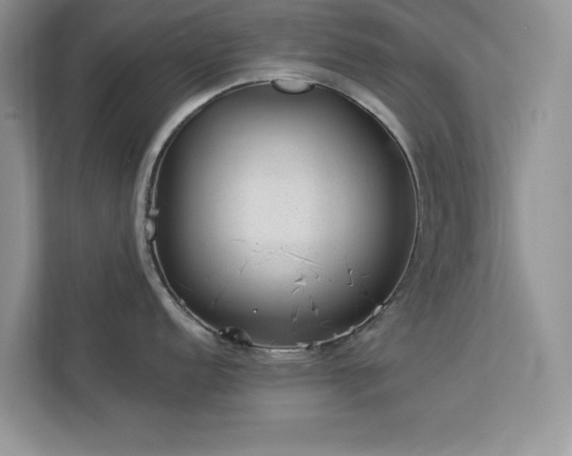 X0000112981152200908271138