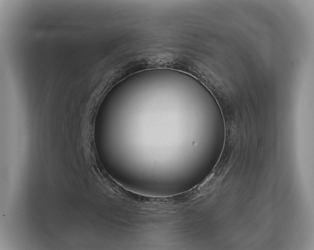 X0000112981153200908271137