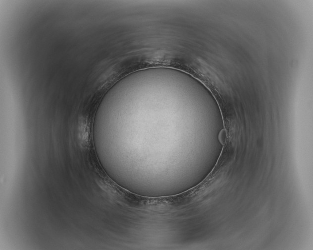 X0000112981154200908271137