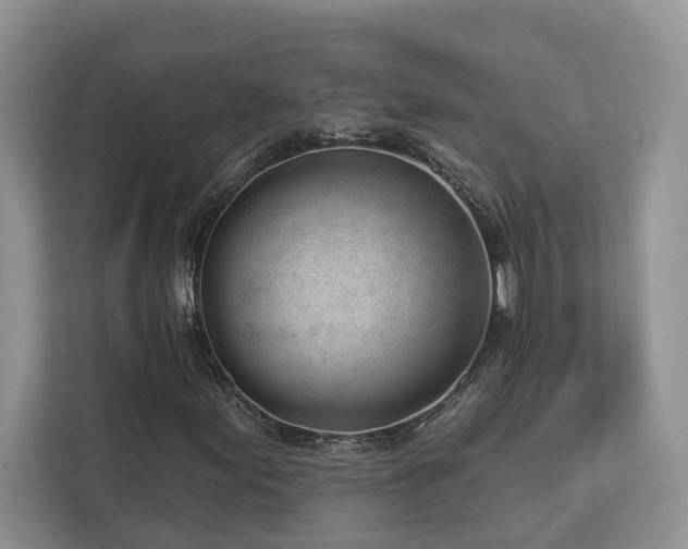 X0000112981155200908271137