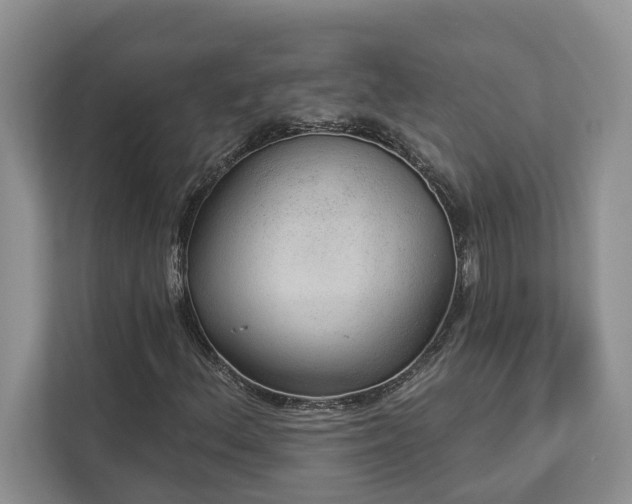 X0000112981156200908271137
