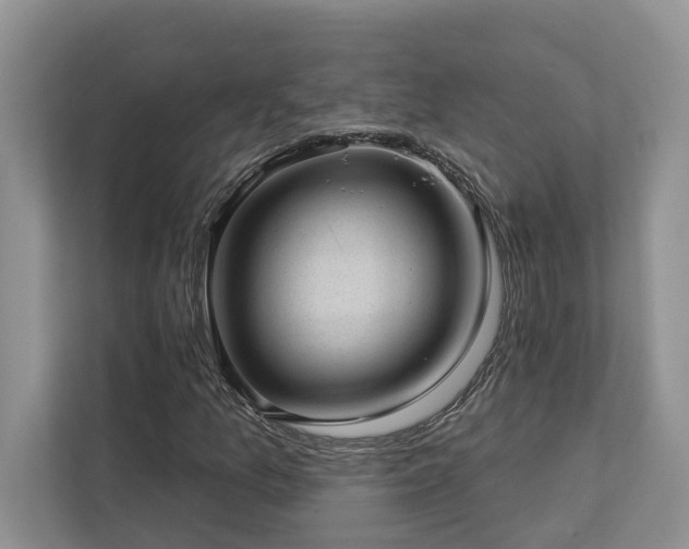 X0000112981157200908271137