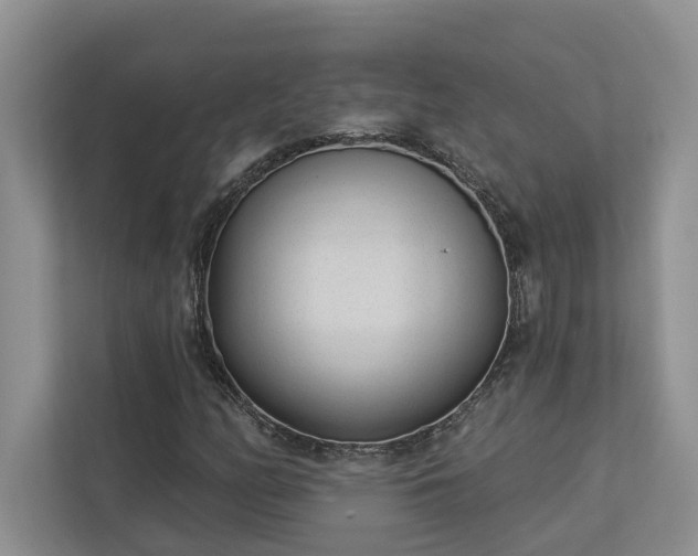 X0000112981158200908271137