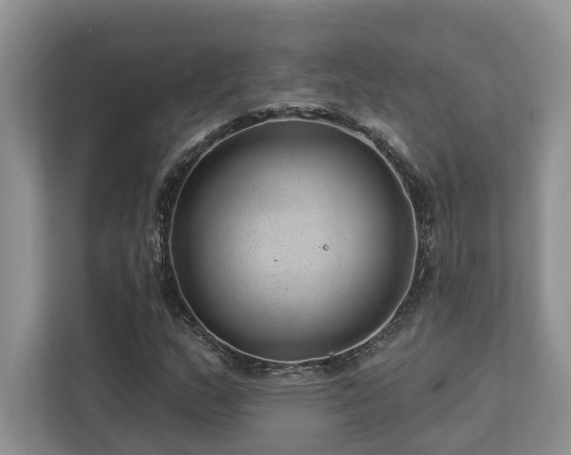X0000112981159200908271137