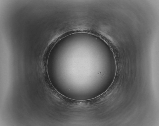 X0000112981160200908271137