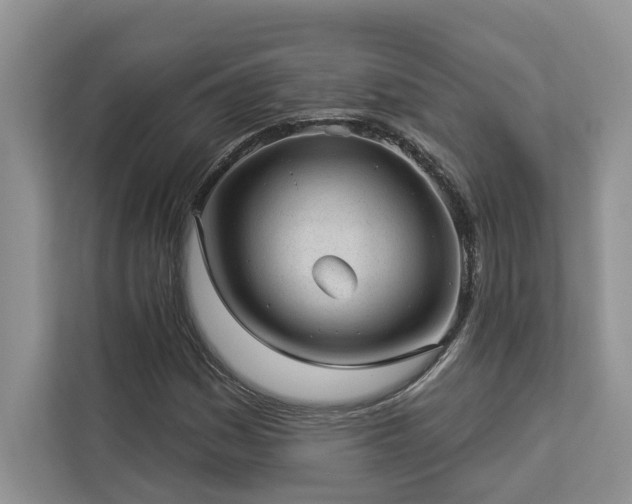 X0000112981161200908271137