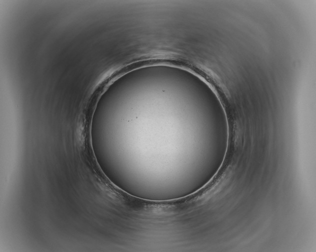 X0000112981163200908271137