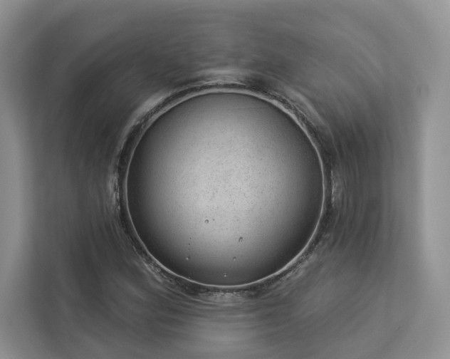 X0000112981164200908271137