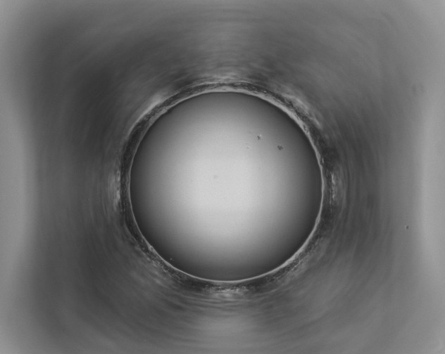 X0000112981165200908271137