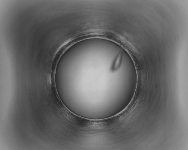 X0000112981166200908271137
