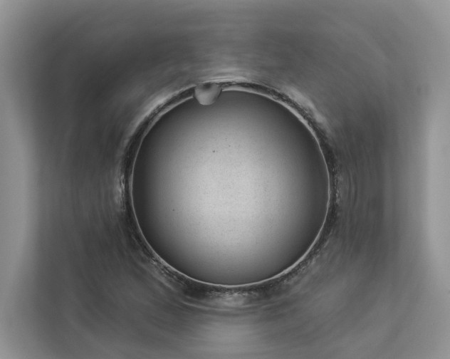 X0000112981167200908271137