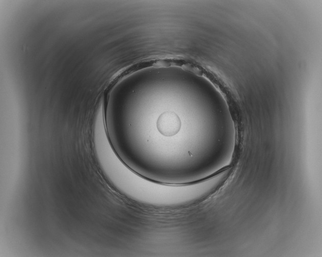 X0000112981169200908271137