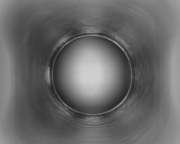 X0000112981171200908271137