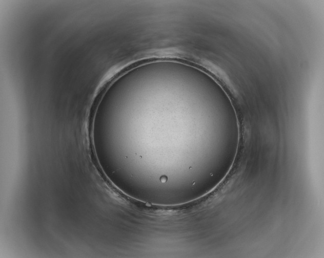 X0000112981176200908271137